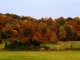 Benchfield Road Sylva, NC 28779 - Image 11004677