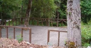 18 Mile Haines Hwy Haines, AK 99827 - Image 11005505