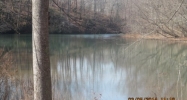 000 County Road 639 Florence, AL 35633 - Image 11007507