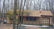 51 Pine Ridge Driv Bushkill, PA 18324 - Image 11008080