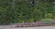 Reich Sandy, OR 97055 - Image 11010283