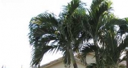 9870 NW 28 TE Miami, FL 33172 - Image 11013427