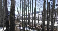 43 Gloria Place Lot 26, Blk 26, F4, Crested Butte Crested Butte, CO 81224 - Image 11017514