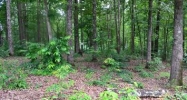 Lot 95 Keowee Falls South Town  Apn Salem, SC 29676 - Image 11020087