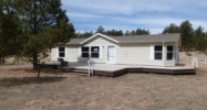 236 Obsidian Drive Florissant, CO 80816 - Image 11022122