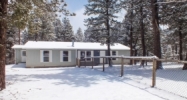 346 Kutsu Ridge Rd Florissant, CO 80816 - Image 11048441