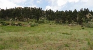 4085 Douglas Mtn. Dr Golden, CO 80403 - Image 11053462
