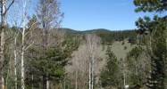 0 Robinson Hill Road Golden, CO 80403 - Image 11053463