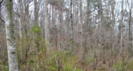 0 County Rd 1606 Cullman, AL 35058 - Image 11056347