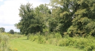 0 Patches Ln Tuscumbia, AL 35674 - Image 11131367