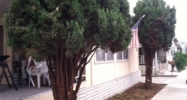 3340 Del Sol Blvd. #83 San Diego, CA 92154 - Image 11132564