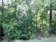14 Yana Trail Cherokee Village, AR 72525 - Image 11141580