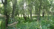 13438 E Oceanview Road Palmer, AK 99645 - Image 11148968