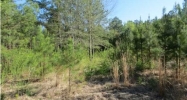 321 DUSTY TRAIL LN 3 ACRES Talladega, AL 35160 - Image 11154370