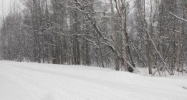 21717 Blair Street Chugiak, AK 99567 - Image 11169148