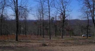 409 Immanuel Dr Hot Springs National Park, AR 71901 - Image 11172770