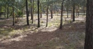 16227 SW 22nd Lane Ocala, FL 34481 - Image 11172784