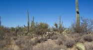 10555 N Decker Tucson, AZ 85742 - Image 11177445