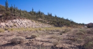 33455 S OLD BLACK CYN Highway Black Canyon City, AZ 85324 - Image 11178092