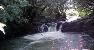 Hilo, HI 96720 - Image 11182890