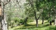 19901 Comanche Pl Tehachapi, CA 93561 - Image 11187583