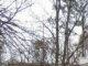3369 Cherokee Road Birmingham, AL 35223 - Image 11190350