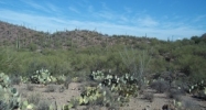 4350 W Milton #14 Tucson, AZ 85746 - Image 11194074