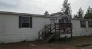 1320 WINDY WOOD RD Pelion, SC 29123 - Image 11197672