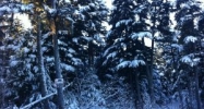 L3 B9 Timberline Drive Girdwood, AK 99587 - Image 11197843