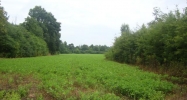 95 Trimble Rd Cullman, AL 35057 - Image 11202302