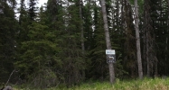 36080 Tremolo Circle #5 Soldotna, AK 99669 - Image 11223805