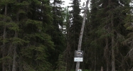 36062 Tremolo Circle #8 Soldotna, AK 99669 - Image 11223804