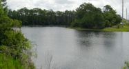 8300 MERRILL RD Jacksonville, FL 32277 - Image 11230585