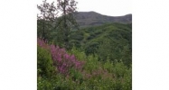 Lot 20 Cache Creek Recreational Trapper Creek, AK 99683 - Image 11253916