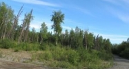 L1 B2 W Coghlan Circle Wasilla, AK 99654 - Image 11254242