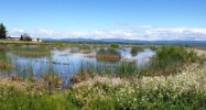 1359 Central House Rd Oroville, CA 95966 - Image 11259958