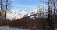 L1 Hightower Road Girdwood, AK 99587 - Image 11267298