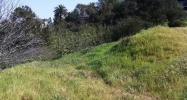 2350 W Lake Shore Ave Los Angeles, CA 90039 - Image 11269488