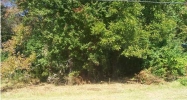 835 SHOAL CREKK TRAIL Arab, AL 35016 - Image 11299558