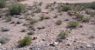 6825 N 39TH Place Paradise Valley, AZ 85253 - Image 11303670