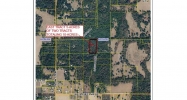 (Parcel 2) Coyote Pass Brooksville, FL 34601 - Image 11304100