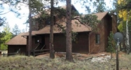 563 Wagon Tongue Road Bailey, CO 80421 - Image 11313183
