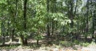 10/1 Caribe Laredo Lane Hot Springs Village, AR 71909 - Image 11342157