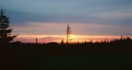 39793 Cannon Street Homer, AK 99603 - Image 11362396