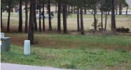 13 Twin Pines Tuscumbia, AL 35674 - Image 11372049