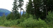 L13 B26 Vail Drive Girdwood, AK 99587 - Image 11378424