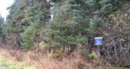 000 Alyeska Highway Girdwood, AK 99587 - Image 11378429