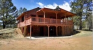 79 Beaver Creek Cir Florissant, CO 80816 - Image 11400938