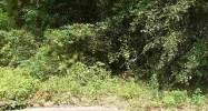 LOT 21 HORNSBY Ozark, AL 36360 - Image 11415093