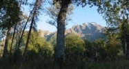 L7 B2 E Riverside Drive Palmer, AK 99645 - Image 11422266